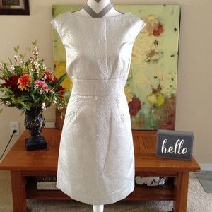 Plus Size Evening, Wedding Special Occasion Dress